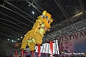 VBS_8939 - Festival dell'Oriente 2023